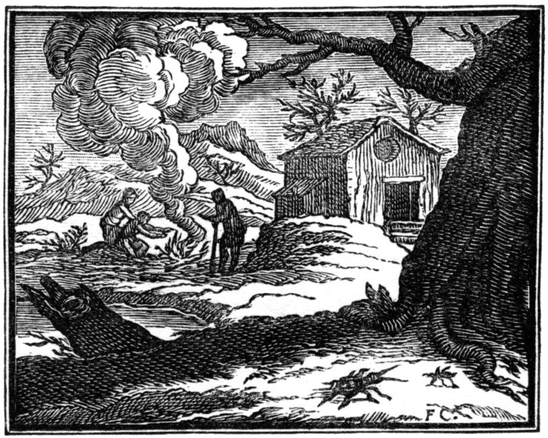 La Cigale et La Fourmi de Jean de La Fontaine illustration par Chauveau