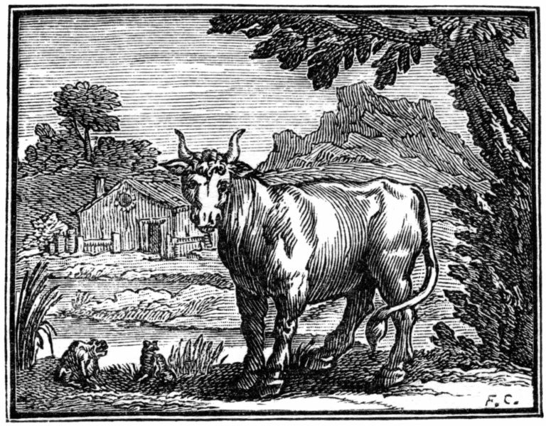 La Grenouille qui se veut faire aussi grosse que Le Boeuf de Jean de La Fontaine illustration par François Chauveau