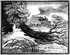 Le Chêne et Le Roseau de Jean de La Fontaine illustration par François Chauveau