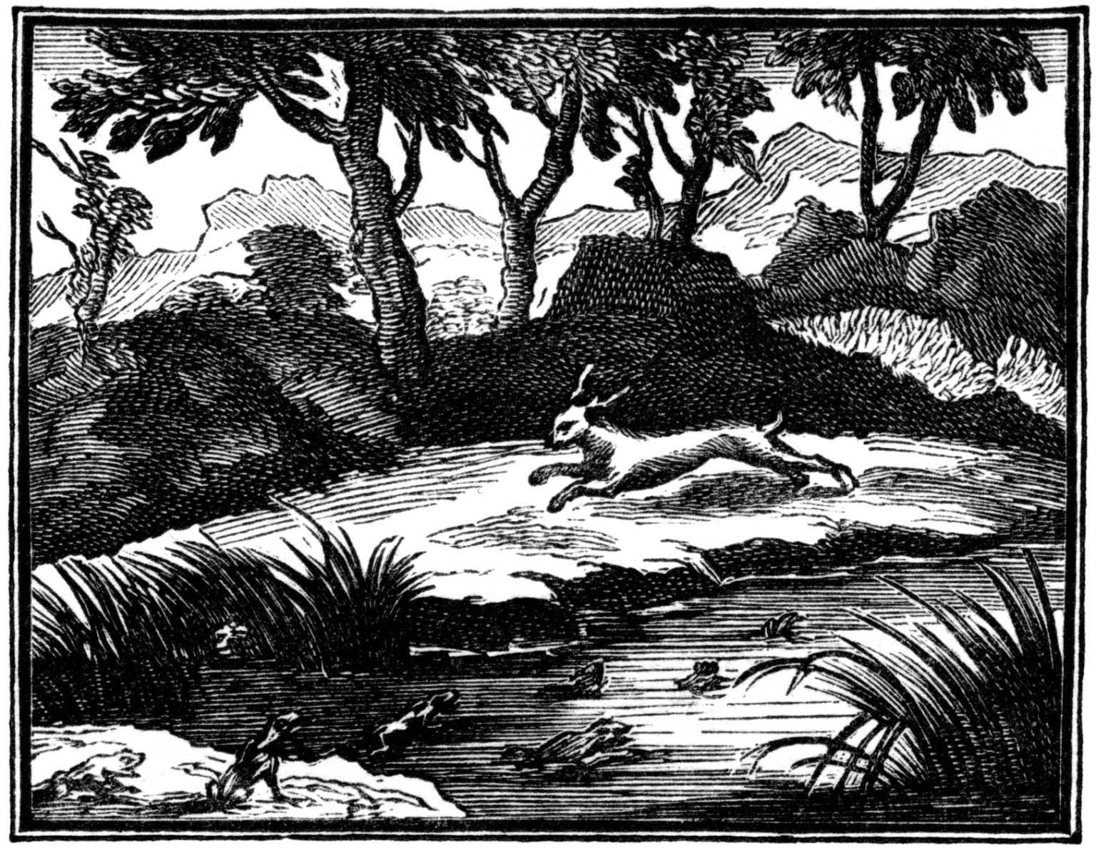 Le Lièvre et La Tortue Fable de Jean de La Fontaine Fables de La Fontaine Le Lièvre et La Tortue Fable de Jean de La Fontaine Fables de La Fontaine