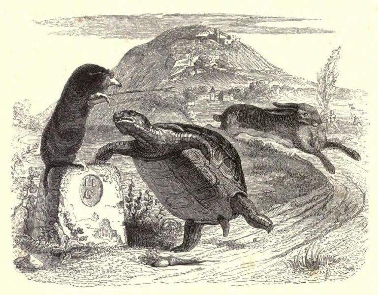 Le Lièvre et La Tortue de Jean de La Fontaine illustration par François Grandville