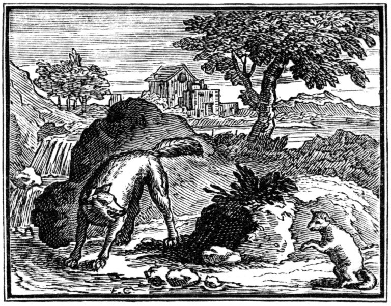 Le Loup et l'Agneau de Jean de La Fontaine illustration par François Chauveau
