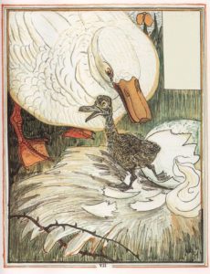 Le Vilain Petit Canard de Hans Christian Andersen illustration par Theo Van Hoytema de l'éclosion et la naissance - 1893