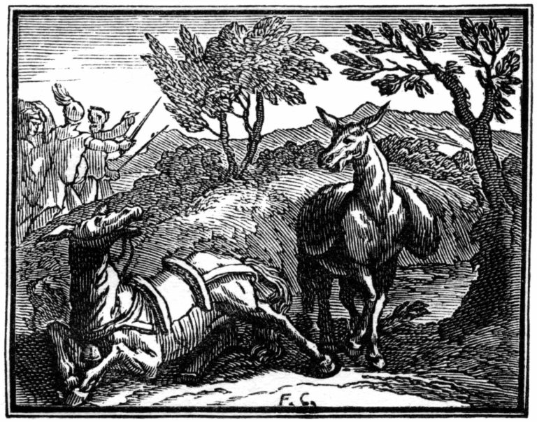 Les Deux Mulets de Jean de La Fontaine illustration par François Chauveau