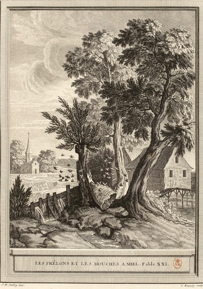 Les Frelons et Les Mouches à Miel de Jean de La Fontaine gravure de Jean-Charles Baquoy d'après Jean-Baptiste Oudry