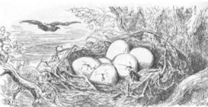 L'Aigle et L'Escarbot de Jean de La Fontaine - Illustration de Gustave Doré