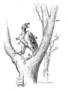 L'Aigle et Le Hibou de Jean de La Fontaine - Illustration de Vimar