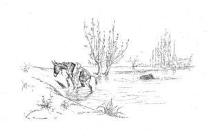 L'Âne Chargé d'Éponges et l'Âne Chargé de Sel de Jean de La Fontaine - Illustration de Auguste Vimar - 1897