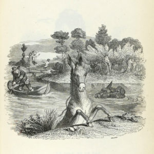 L'Âne Chargé d'Éponges et l'Âne Chargé de Sel de Jean de La Fontaine - Illustration de Grandville - 1840