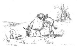 L'Âne et Le Chien de Jean de La Fontaine - Illustration de Auguste Vimar - 1897