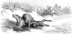 L'Âne Vêtu de La Peau du Lion de Jean de La Fontaine - Illustration de Gustave Doré - 1876