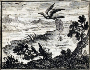 L'Araignée et L'Hirondelle de Jean de La Fontaine - Illustration de François Chauveau - 1688