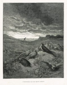 L'Hirondelle et Les Petits Oiseaux de Jean de La Fontaine - Illustration par Gustave Doré