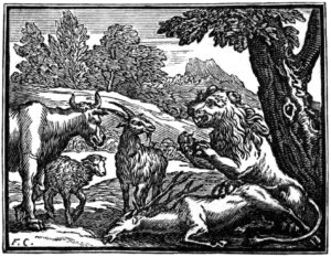 La Génisse, La Chèvre et La Brebis, en Société avec Le Lion de Jean de La Fontaine - Illustration par François Chauveau