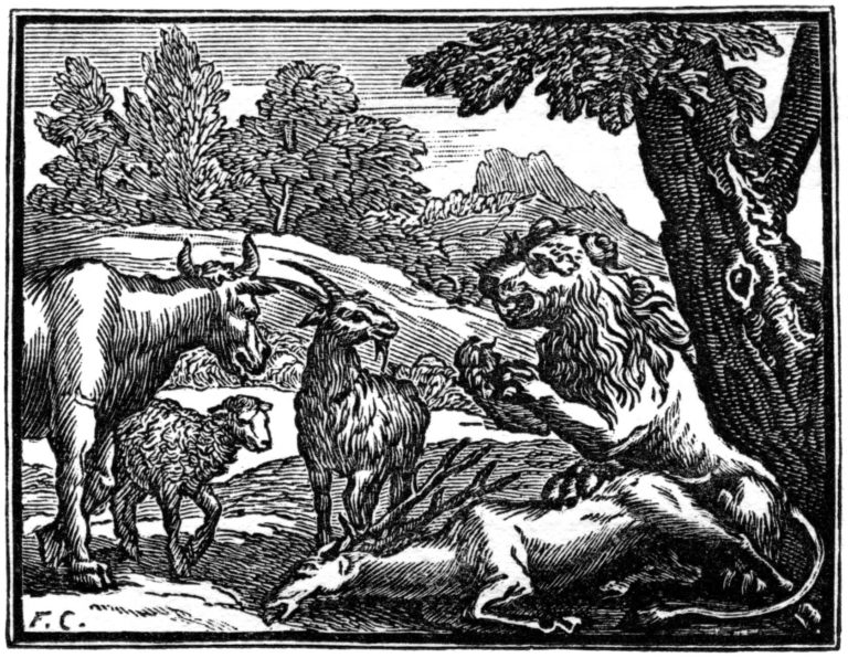 La Génisse, La Chèvre et La Brebis, en Société avec Le Lion - Fable de