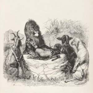 La Génisse, La Chèvre et La Brebis, en Société avec Le Lion de Jean de La Fontaine - Illustration par Grandville
