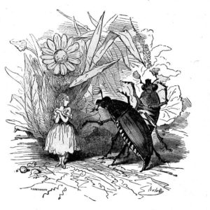La Petite Poucette de Hans Christian Andersen - Vignette de Bertall - Les Hannetons