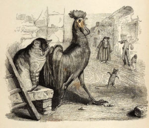 Le Cochet, Le Chat et Le Souriceau de Jean de La Fontaine - Illustration de Grandville