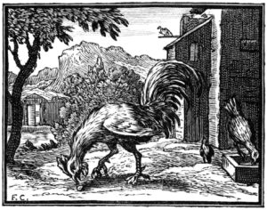 Le Coq et La Perle de Jean de La Fontaine - Illustration par François Chauveau
