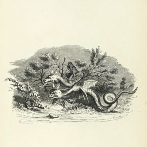 Le Dragon à Plusieurs Têtes et Le Dragon à Plusieurs Queues de Jean de La Fontaine - Illustration de Grandville