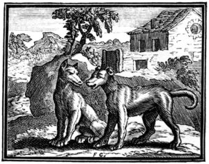 Le Loup et Le Chien de Jean de La Fontaine - Illustration par François Chauveau