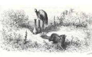 Le Renard et La Cigogne de Jean de La Fontaine - Illustration de Gustave Doré