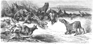 Les Animaux Malades de La Peste de Jean de La Fontaine - Illustration de Gustave Doré - 1876