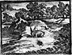 Les Oreilles du Lièvre de Jean de La Fontaine - Illustration par François Chauveau