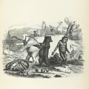 La Besace de Jean de La Fontaine dans Les Fables - Illustration de Grandville - 1840