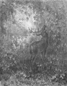 Le Cerf et La Vigne de Jean de La Fontaine dans Les Fables - Gravure de Gustave Doré - 1876