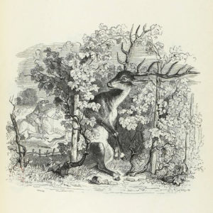 Le Cerf et La Vigne de Jean de La Fontaine dans Les Fables - Illustration de Grandville - 1840