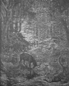 Le Cerf se Voyant dans l'Eau de Jean de La Fontaine dans Les Fables - Gravure de Gustave Doré - 1876