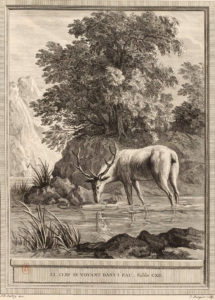 Le Cerf se Voyant dans l'Eau de Jean de La Fontaine dans Les Fables - Gravure par Jacques Jean Pasquier d'après un dessin de Jean-Baptiste Oudry - 1759