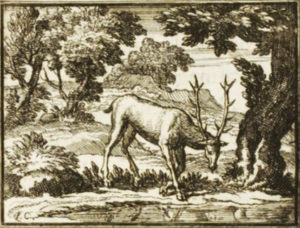 Le Cerf se Voyant dans l'Eau de Jean de La Fontaine dans Les Fables - Illustration de François Chauveau - 1688