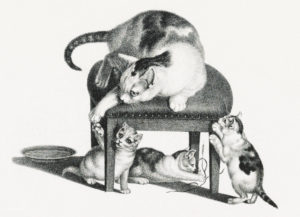 Les Chats de Charles Baudelaire - Illustration de Gottfried Mind - 1814