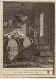 Conseil Tenu Par Les Rats de Jean de La Fontaine dans Les Fables - Gravure par René Gaillard d'après un dessin de Jean-Baptiste Oudry - 1759