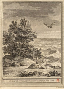 La Chauve-souris, Le Buisson et Le Canard de Jean de La Fontaine dans Les Fables - Gravure par Pierre-Phillipe Choffard d'après un dessin de Jean-Baptiste Oudry - 1759