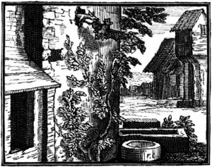 La Chauve-souris et Les Deux Belettes de Jean de La Fontaine dans Les Fables - Illustration de François Chauveau - 1688