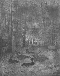 Le Cerf Malade de Jean de La Fontaine dans Les Fables - Gravure de Gustave Doré - 1876