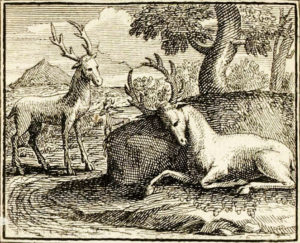 Le Cerf Malade de Jean de La Fontaine dans Les Fables - Illustration de François Chauveau - 1688