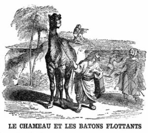 Le Chameau et Les Bâtons Flottants de Jean de La Fontaine dans Les Fables - Illustration de Grandville - 1840