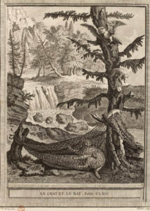 Le Chat et Le Rat de Jean de La Fontaine dans Les Fables - Gravure par Pierre Quentin Chedel d'après un dessin de Jean-Baptiste Oudry - 1759