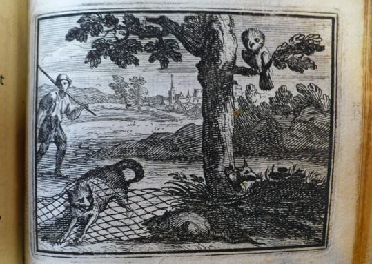 Le Chat Et Le Rat Fable De Jean De La Fontaine Speakerty Le Chat Et Le Rat Fable De Jean De La Fontaine Speakerty