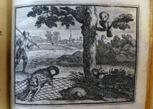 Le Chat et Le Rat de Jean de La Fontaine dans Les Fables - Illustration de François Chauveau - 1688