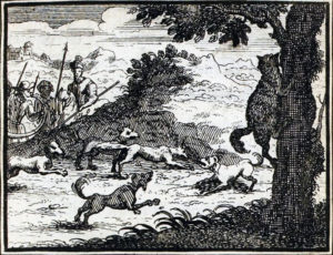 Le Chat et Le Renard de Jean de La Fontaine dans Les Fables - Illustration de François Chauveau - 1688