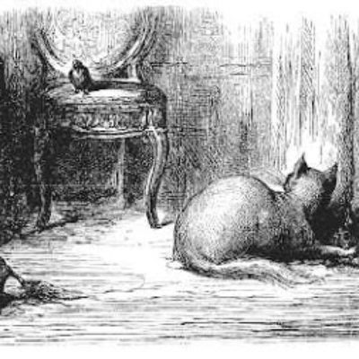 Le Chat Et Les Deux Moineaux Fable De Jean De La Fontaine Speakerty Le Chat Et Les Deux Moineaux Fable De Jean De La Fontaine Speakerty