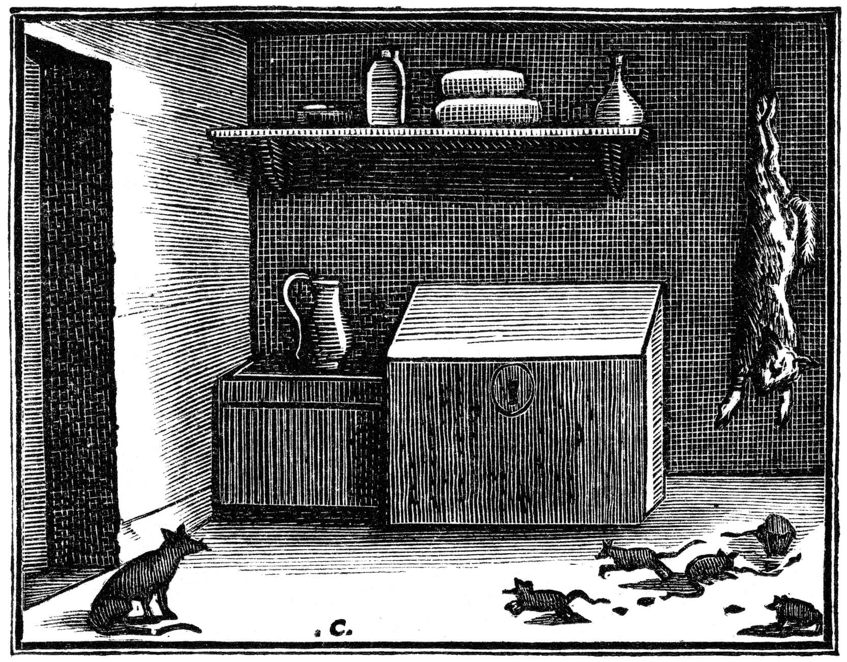 Le Chat Et Un Vieux Rat Fable De Jean De La Fontaine Speakerty Le Chat Et Un Vieux Rat Fable De Jean De La Fontaine Speakerty