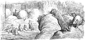 Le Chat et Un Vieux Rat de Jean de La Fontaine dans Les Fables - Illustration de Gustave Doré - 1876