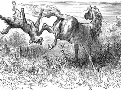 Le Cheval et Le Loup