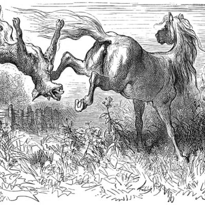 Le Cheval et Le Loup